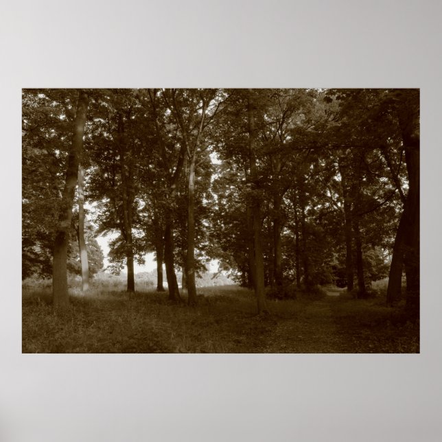 Affiches Bois, Bute Park Cardiff - Sepia tonifié BW (Devant)