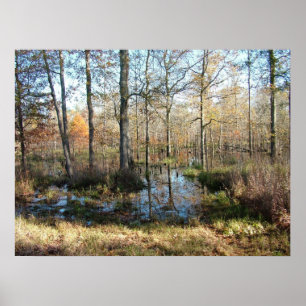 Affiches Bois d'automne