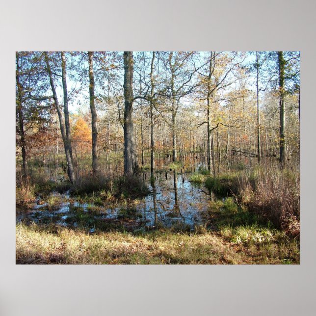 Affiches Bois d'automne (Devant)