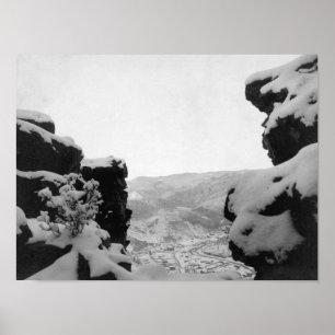 Affiches Bois mort comme vu de la photographie blanche de