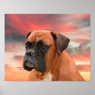 Affiches Boîte de Boxer Mignon Peinture à l'eau et à l'huil