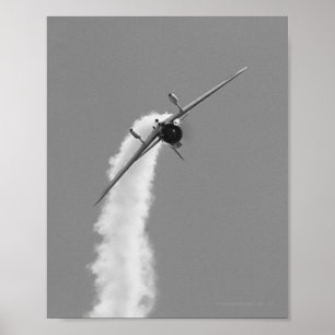 Affiches Bombardier de piqué japonais d'Aichi D3A de marine