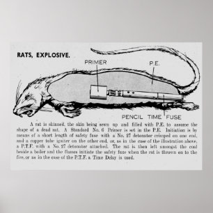 Affiches Bombe à rat, catalogue descriptif des dispositifs 