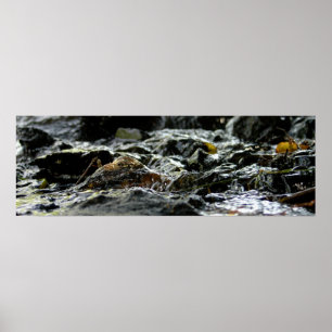 Affiches Bond Falls - Upper Peninsula