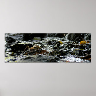 Affiches Bond Falls - Upper Peninsula