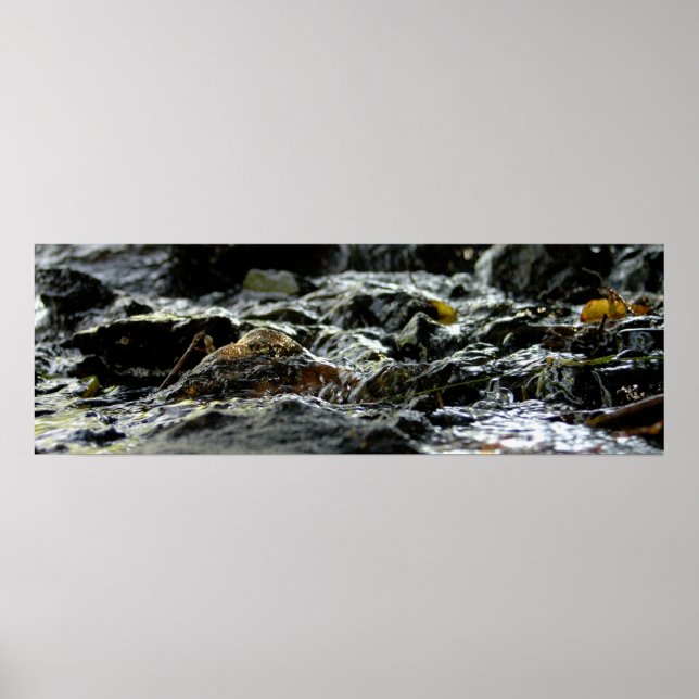 Affiches Bond Falls - Upper Peninsula (Devant)