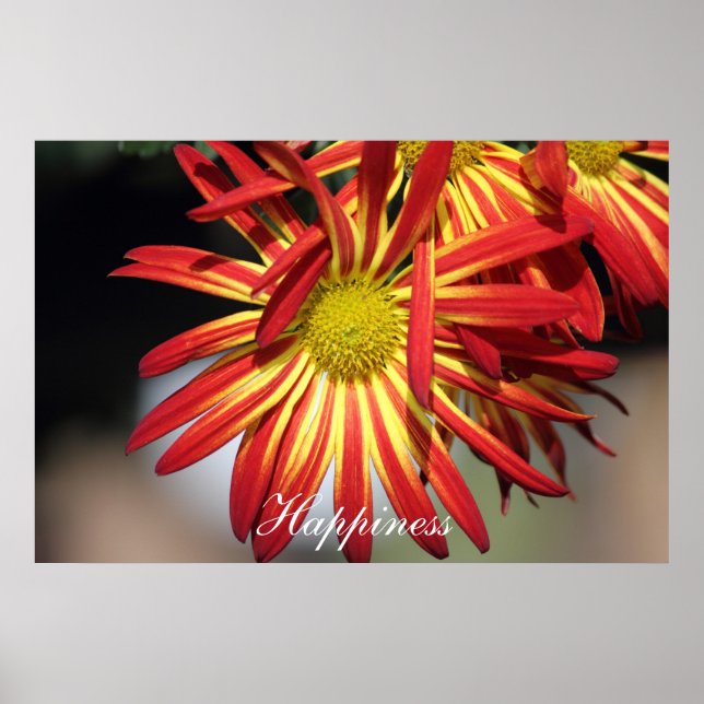 Affiches Bonheur motivationnel (Devant)