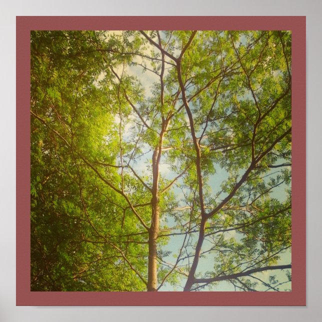 Affiches Bonjour (Devant)