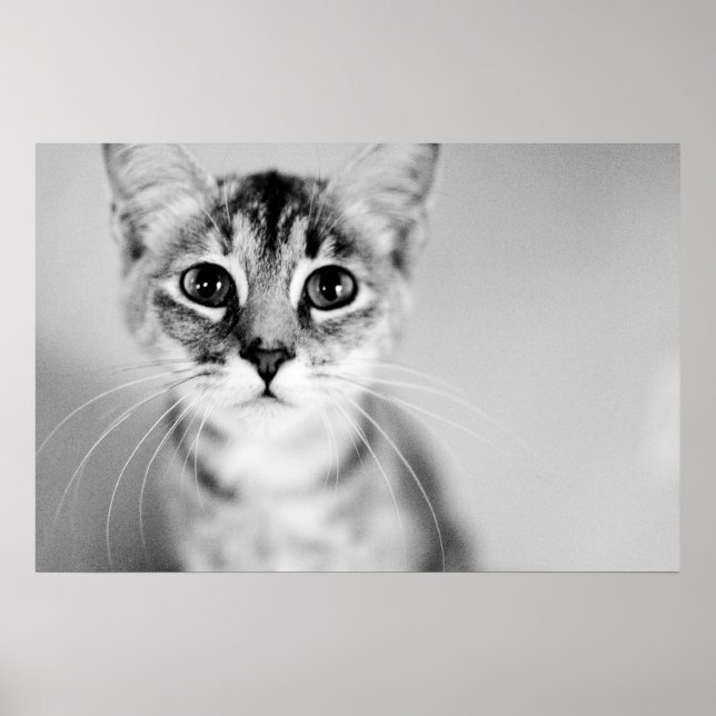 Affiches Bonjour (Devant)