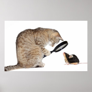 Affiches Bonjour ! ?