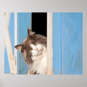 Affiches Bonjour !