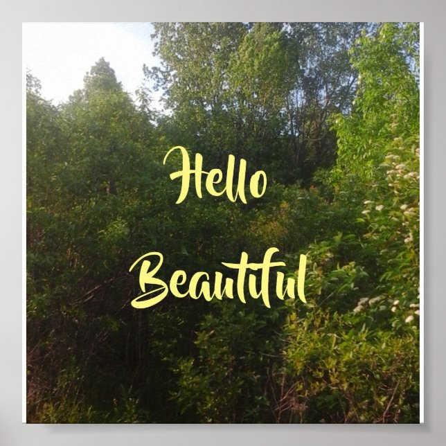 Affiches Bonjour belle (Devant)