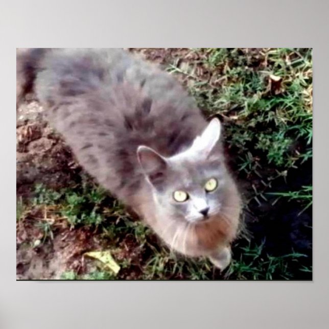 Affiches Bonjour Pouvez-Vous M'Entendre (Devant)