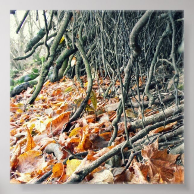 Affiches Bord du fleuve Hafren (Devant)