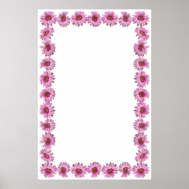 Affiches Bordure de marguerite rose sur Arrière - plan blan (Devant)