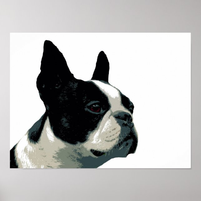 Affiches Boston Terrier (Devant)
