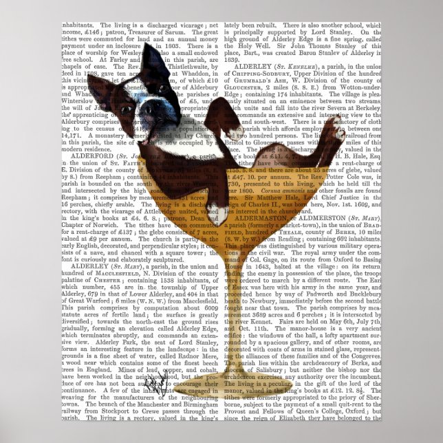Affiches Boston Terrier en verre à cocktail (Devant)