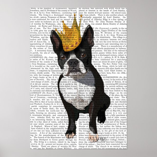 Affiches Boston Terrier Et Crown (Devant)