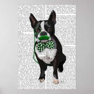 Affiches Boston Terrier With Green Moustache