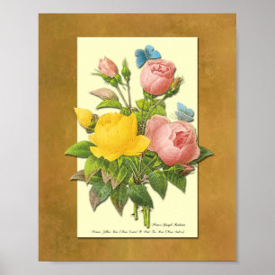 Affiches Botanique rose et jaune Rose Faux Parchment Art