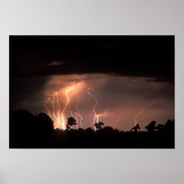 Affiches Botswana, Moremi Game Reserve, Lightning Fills (Devant)