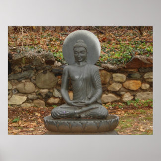 Affiches Bouddha sous la pluie