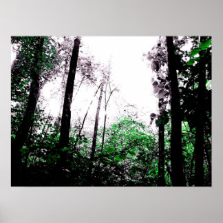 Affiches Bouffées de vert