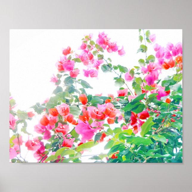 Affiches bougainvillier (Devant)