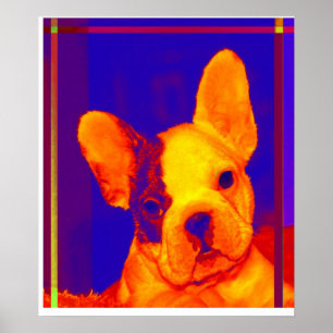 Affiches bouledogue français