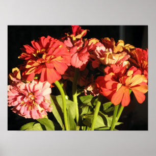 Affiches Bouquet de Brooklyn
