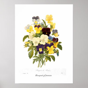 Affiches Bouquet de panneaux