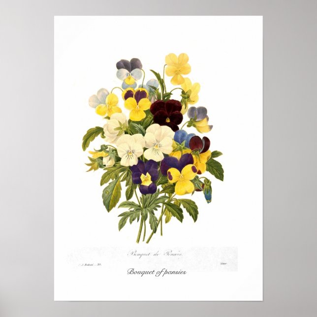 Affiches Bouquet de panneaux (Devant)