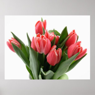 Affiches Bouquet de tulipe