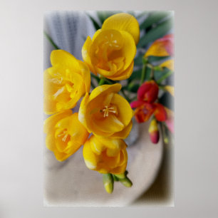 Affiches bouquet freesias
