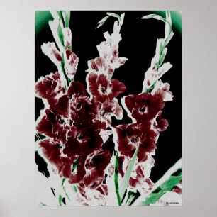 Affiches Bourgogne Gladiolas par Lina