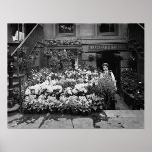 Affiches Boutique de fleurs