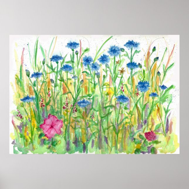Affiches Bouton bleu Bachelor Cornflower Aquarelle Art (Devant)