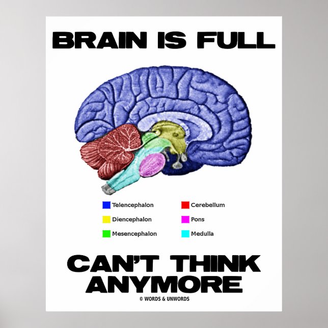 Affiches Brain Is (Devant)