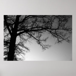 Affiches Branches