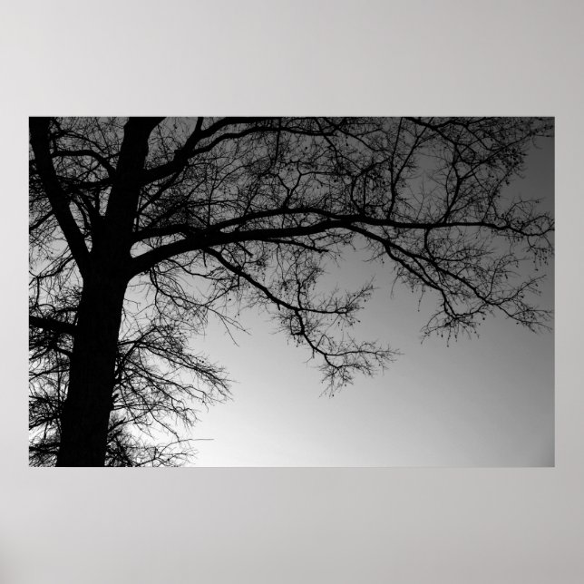 Affiches Branches (Devant)