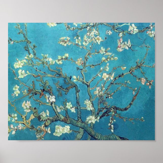 Affiches Branches avec Fleur d'Amandes - Van Gogh (Devant)