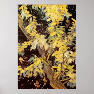 Affiches Branches de l'acacia en floraison Vincent van Gogh