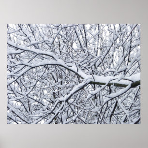 Affiches Branches de neige