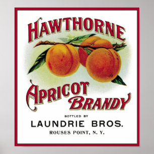 Affiches Brandy Hawthorne Apricot