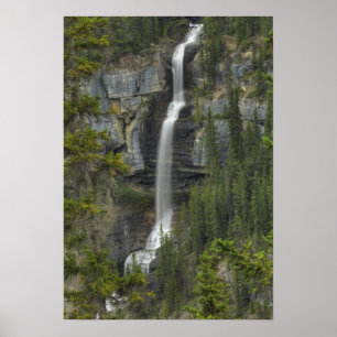 Affiches Bridal Veil