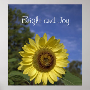 Affiches Bright and joy perfect sunflower in blue sky.
