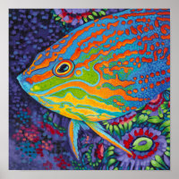 Brillant poisson tropical I