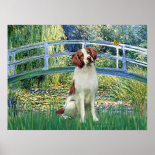 Affiches Brittany Spaniel 3 - Pont du bassin aux nymphéas