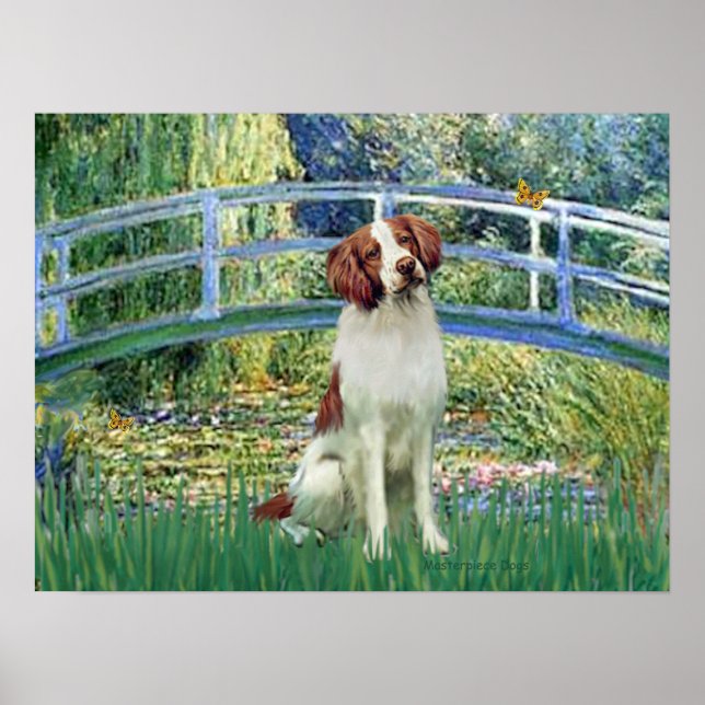Affiches Brittany Spaniel 3 - Pont Lily Pond (Devant)