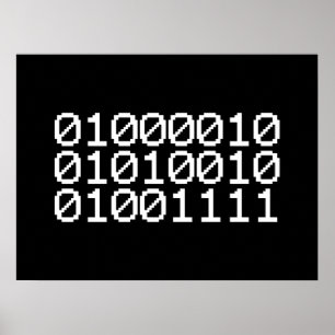 AFFICHES BRO BINAIRE